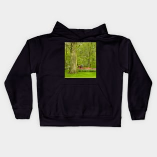 Keukenhof Tulip Festival, Holland Kids Hoodie